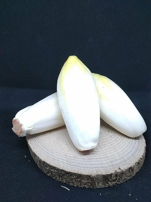 Endive - 1kg