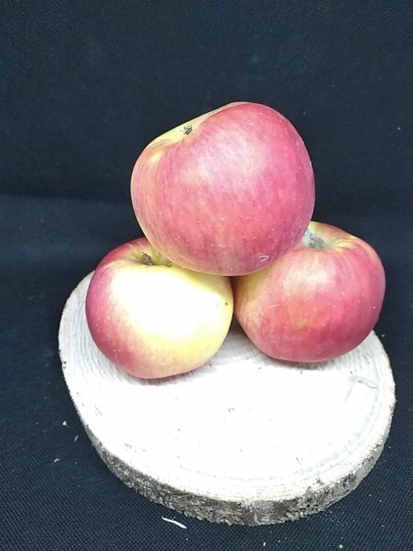 Pommes - 1kg