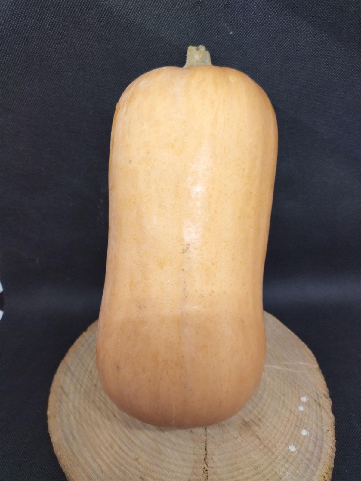Courge Butternut - Pièce