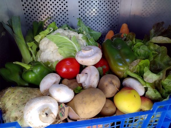 Panier du jour, Légumes - 7kg