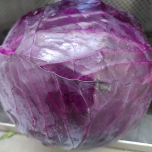 Chou rouge - la pièce