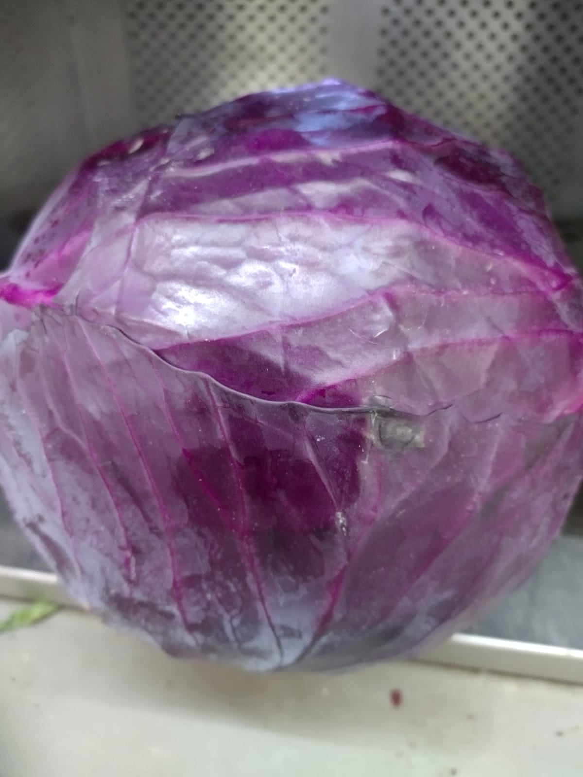 Chou rouge - la pièce